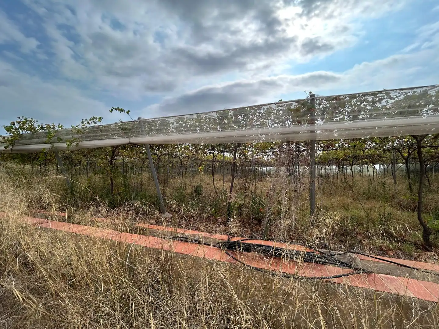 Terreno rustico in vendita a Carrer Lliria, imagen 5