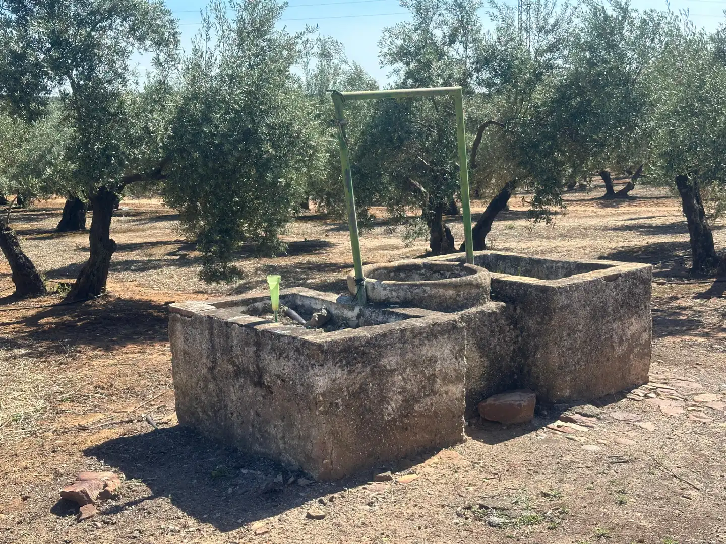 Garden of Land for sale in Villanueva de la Reina