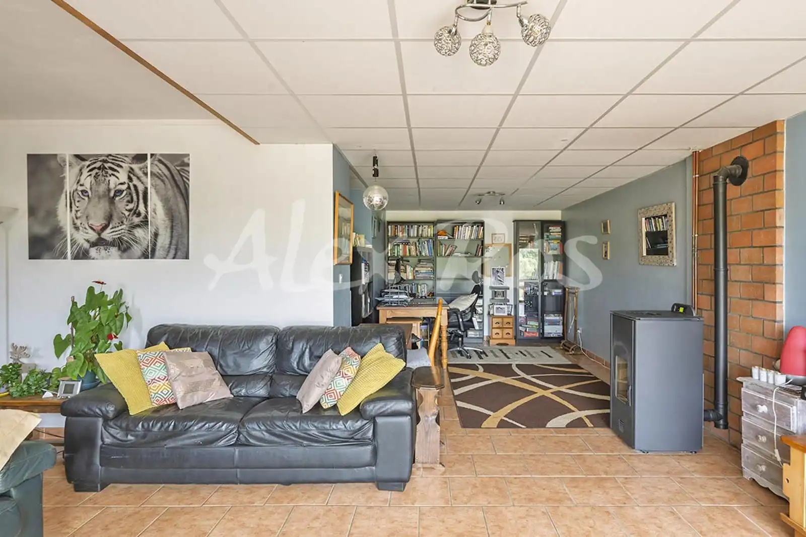 House with garden for sale in Estavar, imagen 35