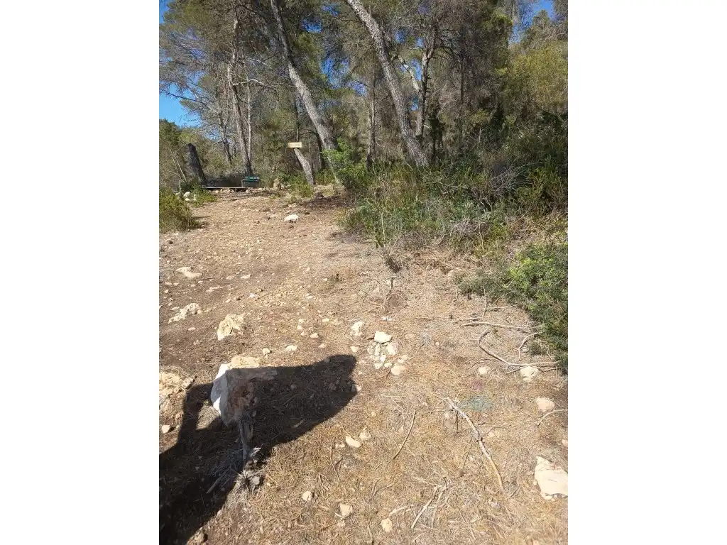 Terreny rústic en venda a Camí Cala Salada, imagen 5