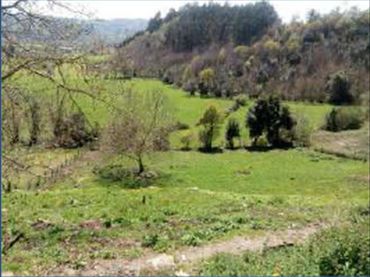 Terreno rustico in vendita a Parroquias Norte