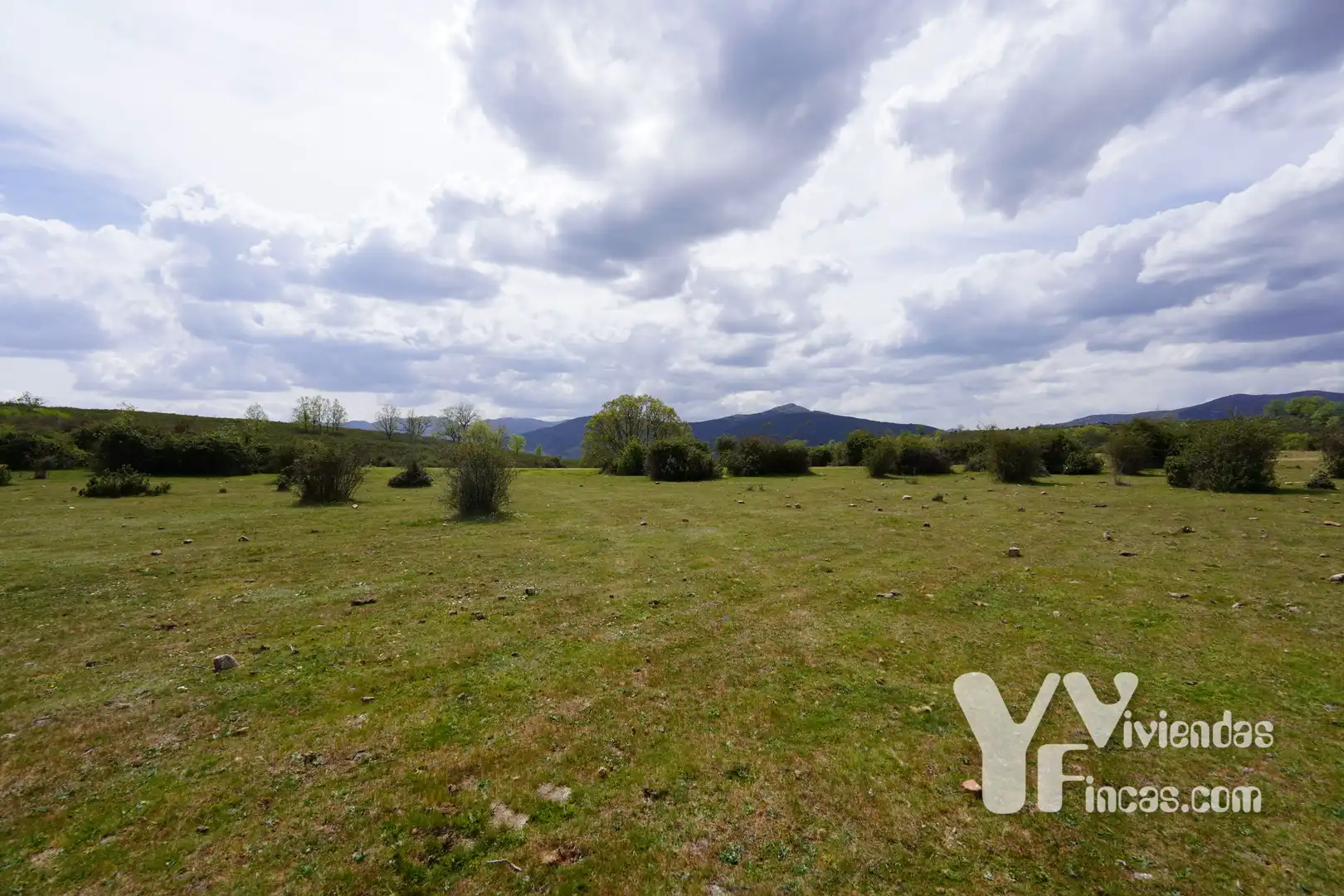 Terreno rústico en venta en Campillo de Ranas, imagen 5