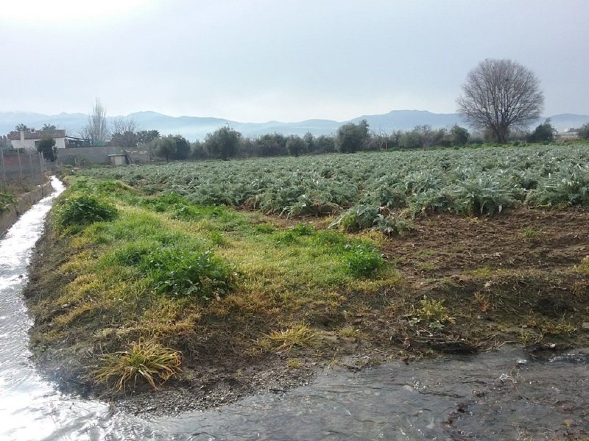 Land for sale in  Granada Capital