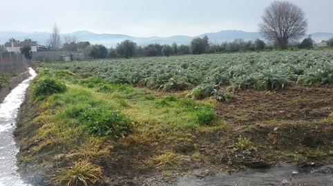 Photo 3 of Land for sale in Lancha del Genil,  Granada Capital