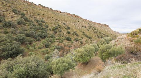 Foto 5 de Terreno en venta en  Extrarradio, Monachil pueblo, Monachil