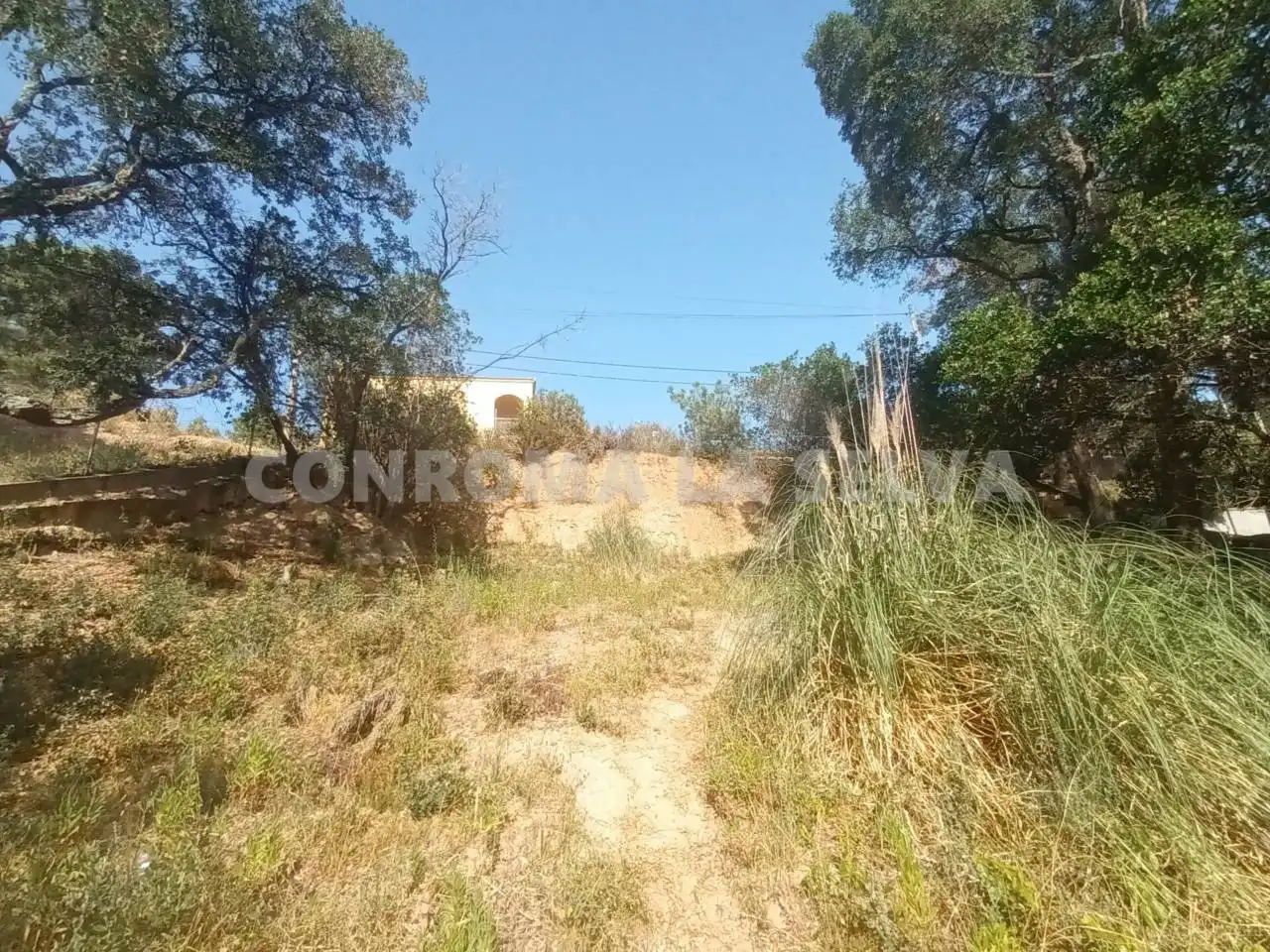 Terrenys i solars en venda a Montbarbat