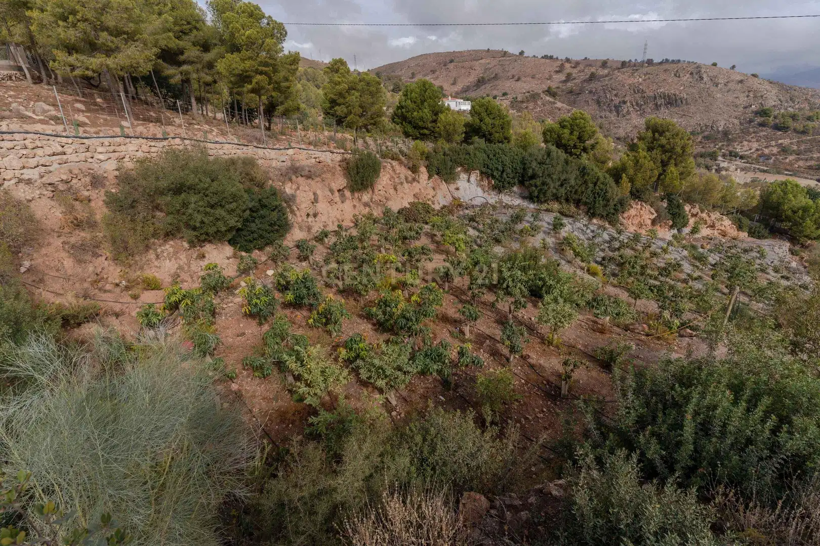 Terreni e lotti in vendita a PHPX+WF Gualchos, Spain, imagen 31