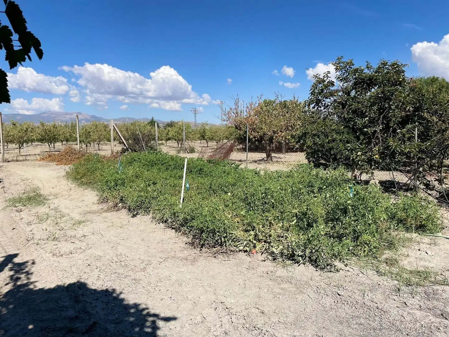 Villa avec piscine à vendre à FUENTE SALINAS (PR) 24, imagen 88