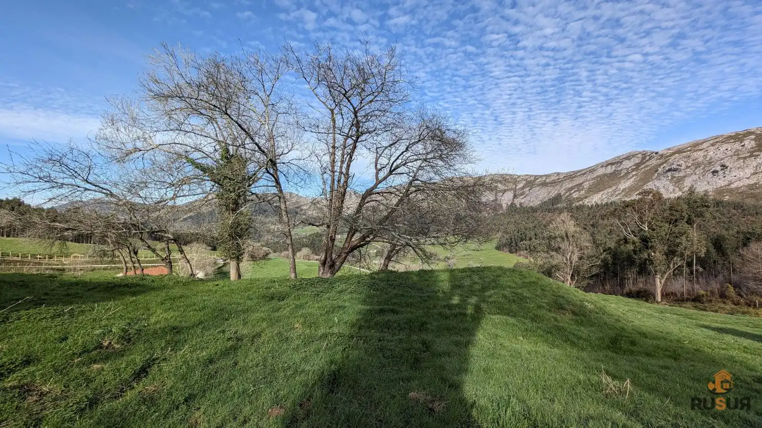 Finca rústica en venta en San Felices de Buelna