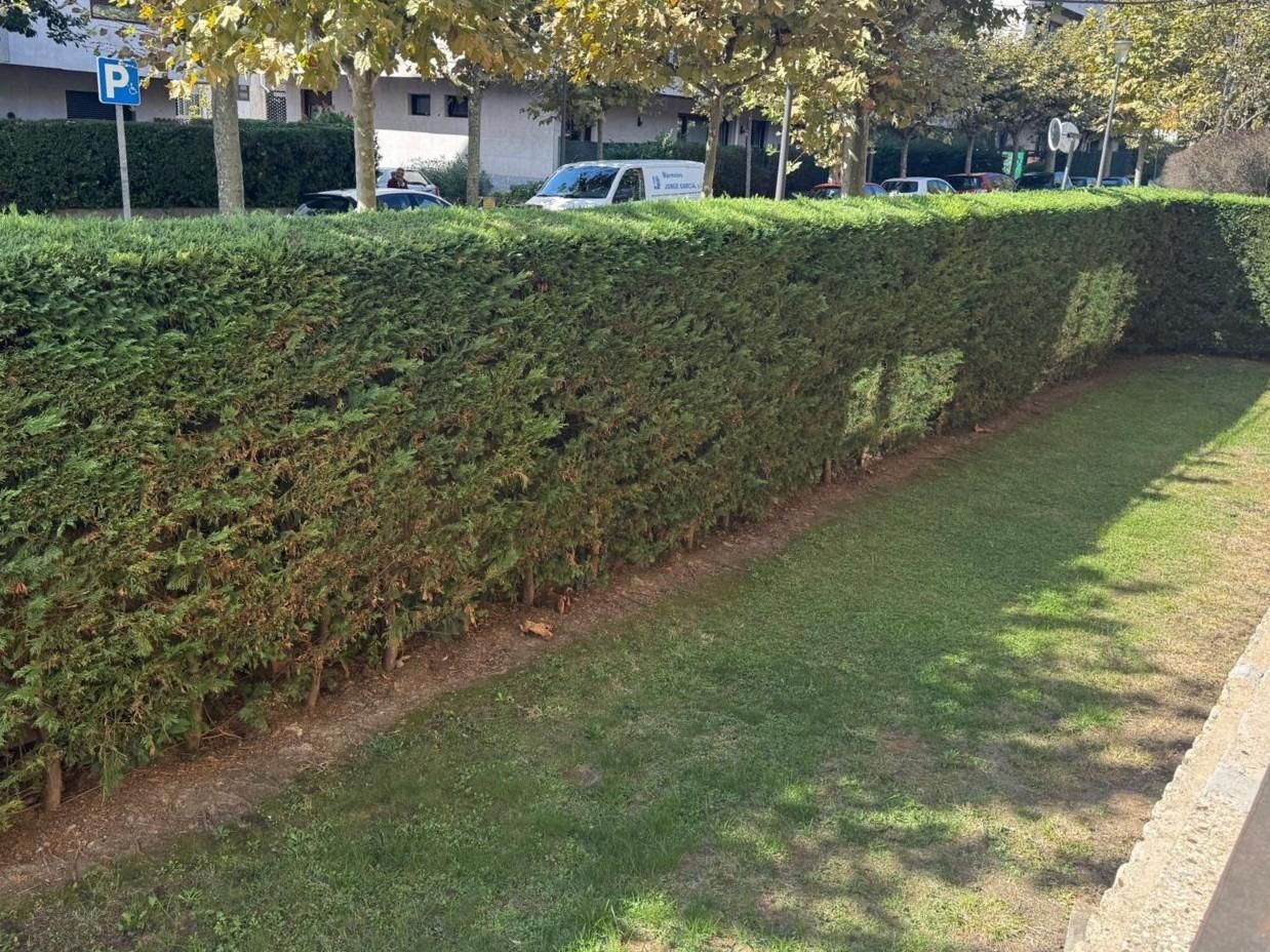 Garden of Flat to rent in Getxo   with Heating, Private garden and Terrace