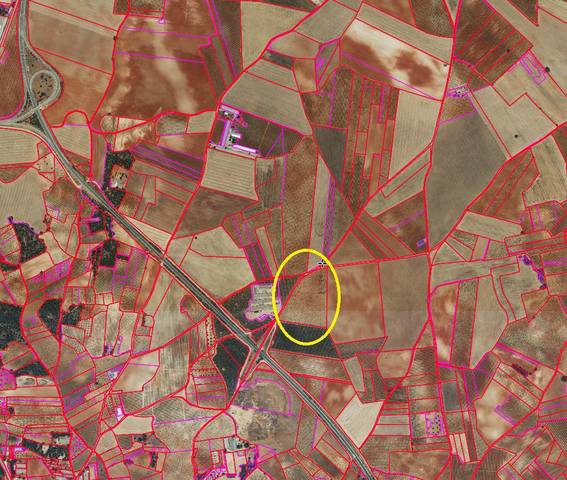 Finca rústica en Venta en PARAJE CATALINA MOYA en Quintanar del Rey