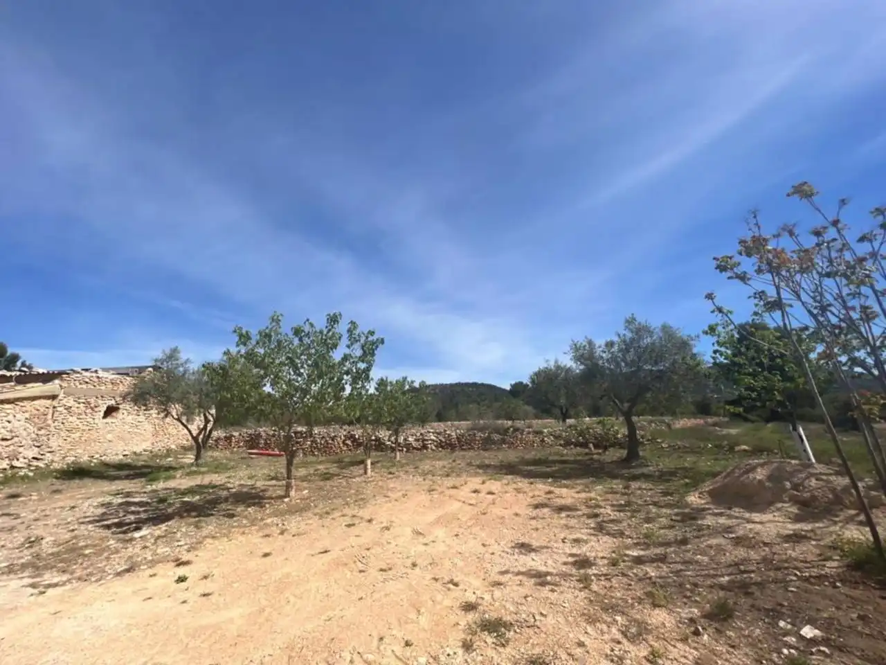 Chalet con jardín en venta en Calle Poligono, imagen 172