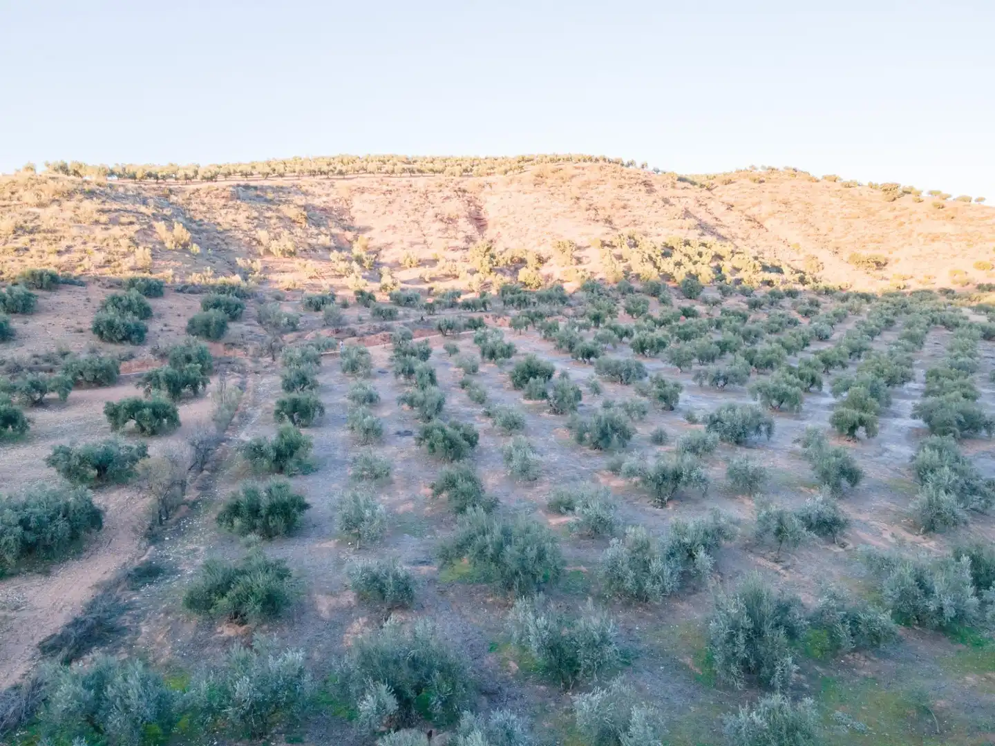 Terreno rustico in vendita a Calicasas, imagen 8