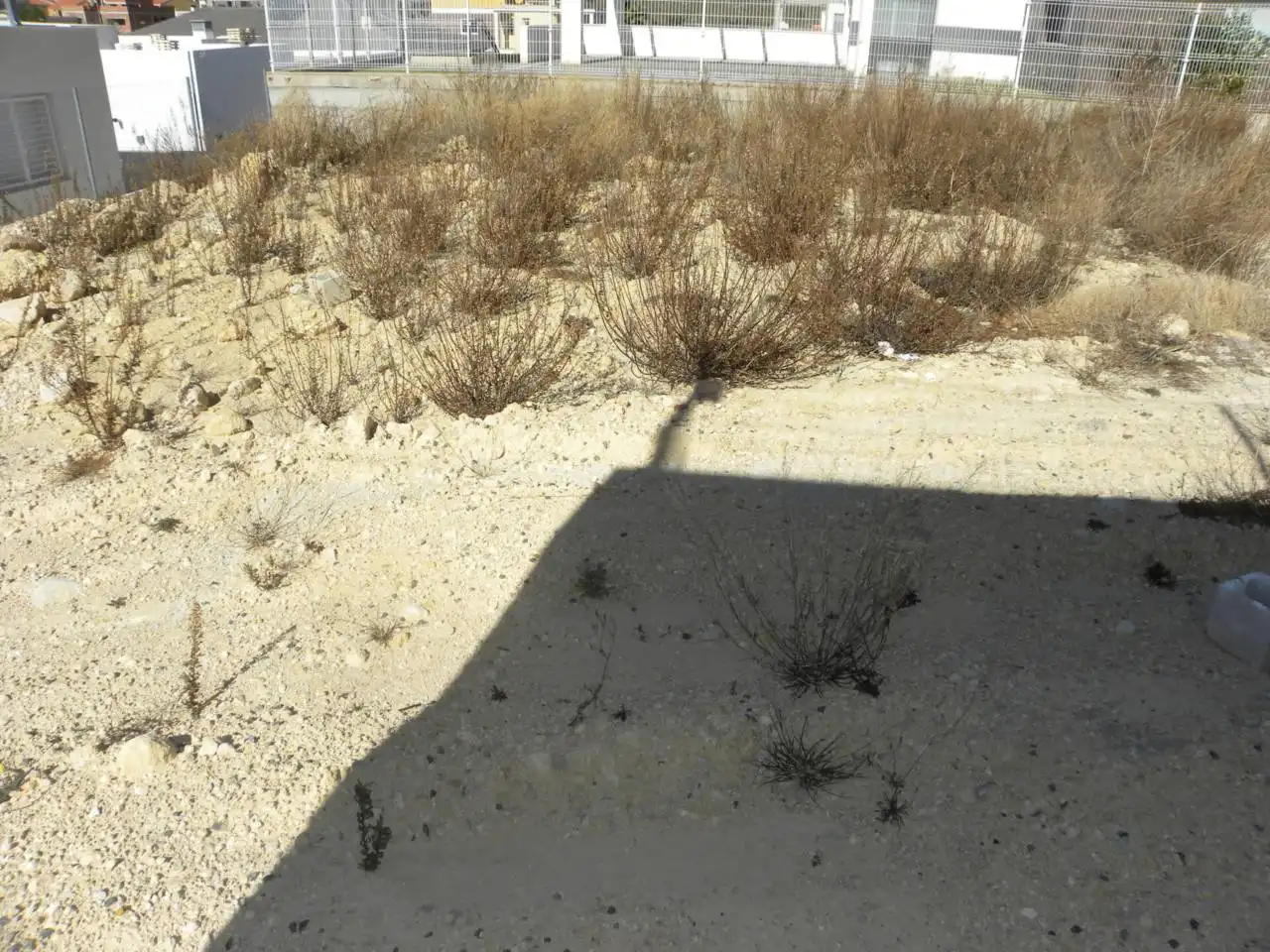 Residential land for sale in Caravaca de la Cruz, imagen 9