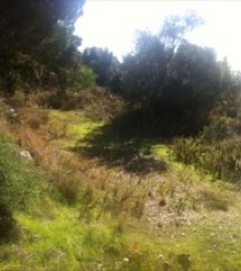 Photo 2 of Residential for sale in Elviria, Marbella