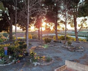 Jardí de Finca rústica en venda en Motril amb Jardí privat, Terrassa i Traster