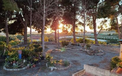 Jardí de Finca rústica en venda en Motril amb Jardí privat, Terrassa i Traster