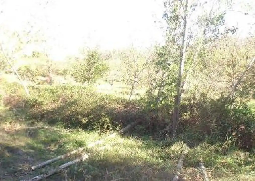 Terreny rústic en venda a Casas Bajas, imagen 4