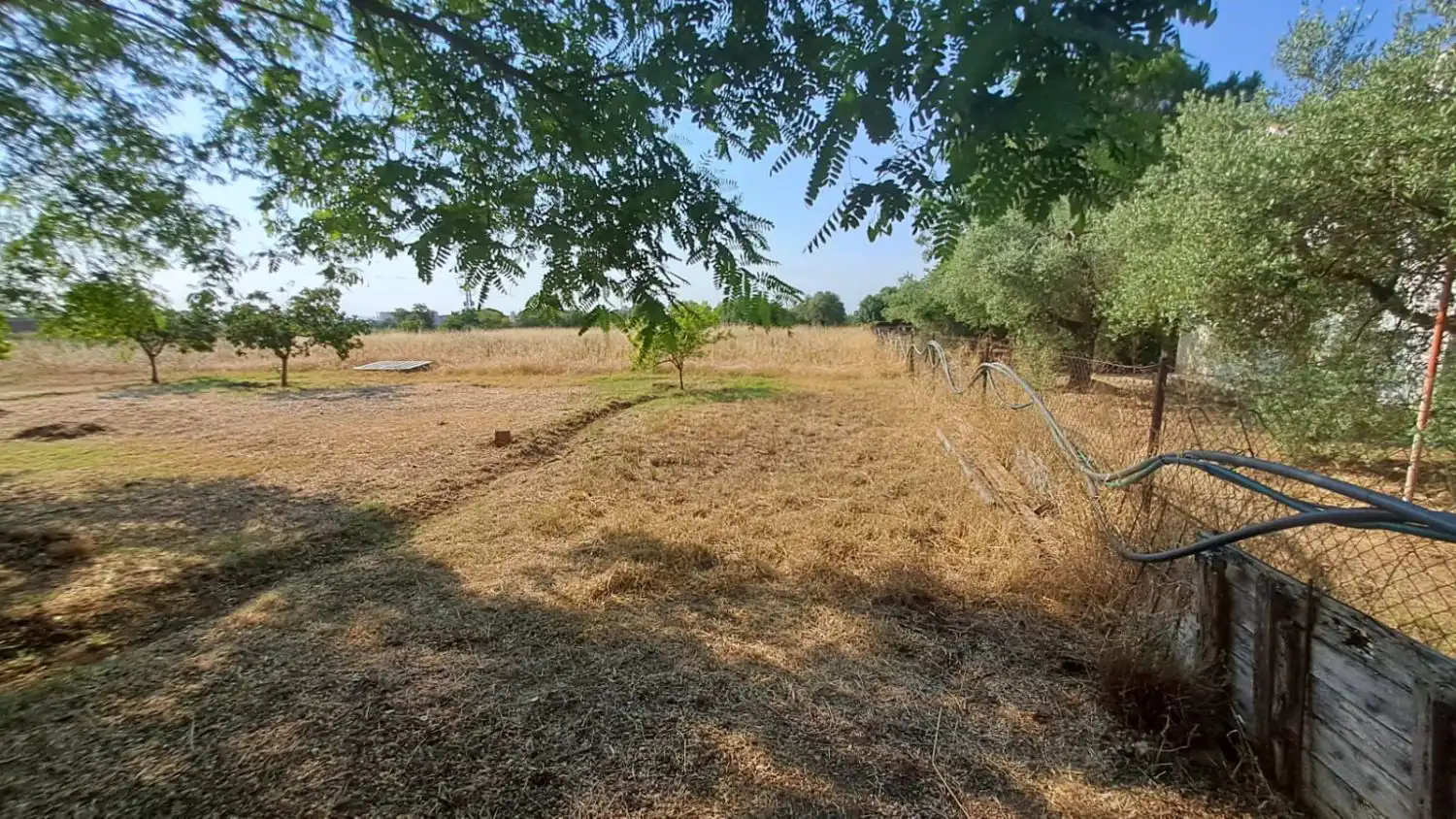 Finca rústica en venta en Constantí