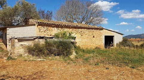 Foto 2 de Finca rústica en venta en Sencelles, Illes Balears
