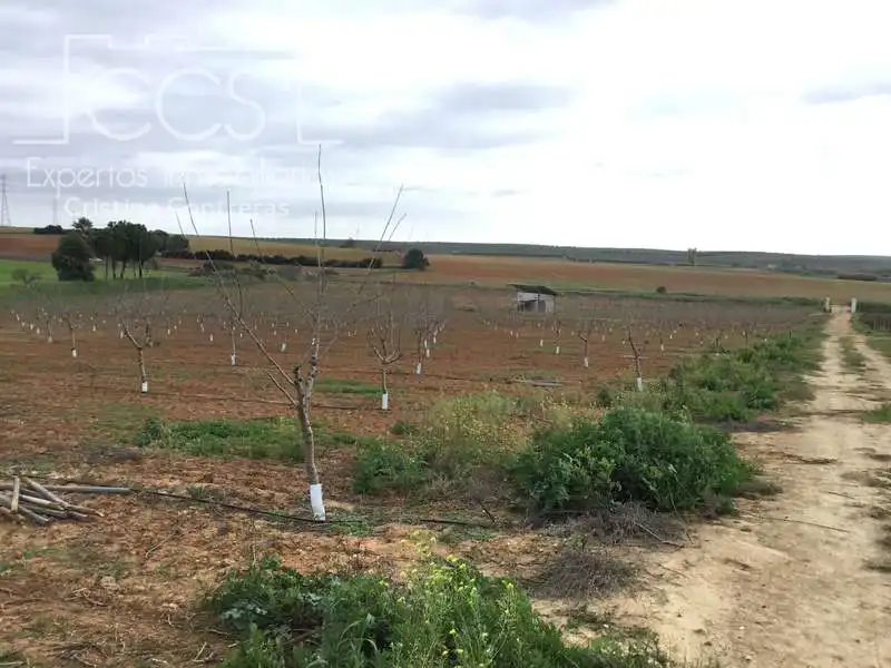 Terreno rústico en venta en Huévar del Aljarafe, imagen 19