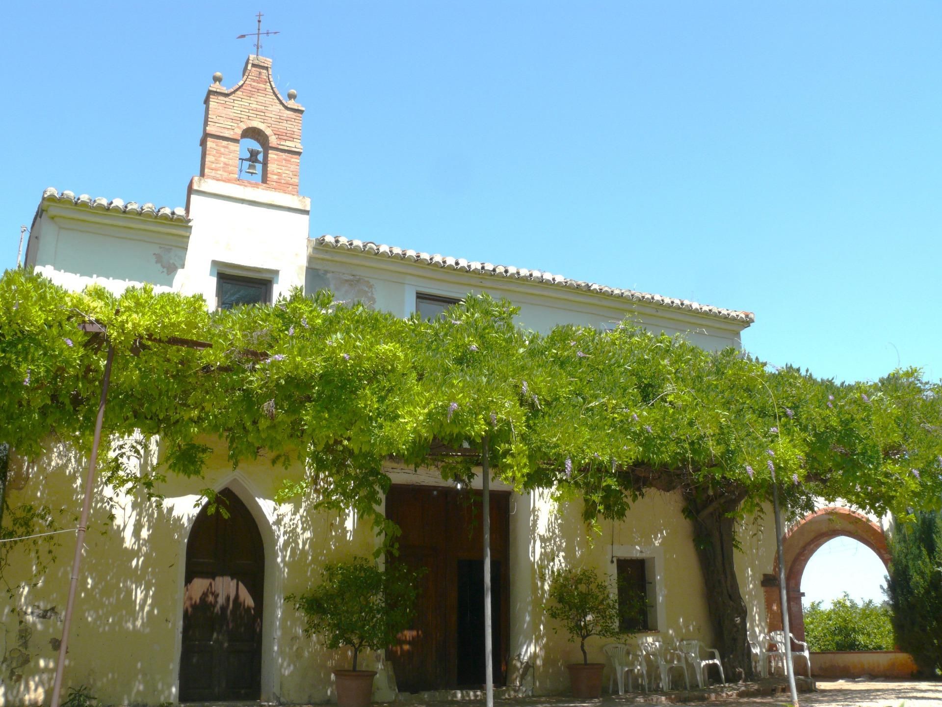 Vista exterior de Finca rústica en venda en Alzira amb Jardí privat
