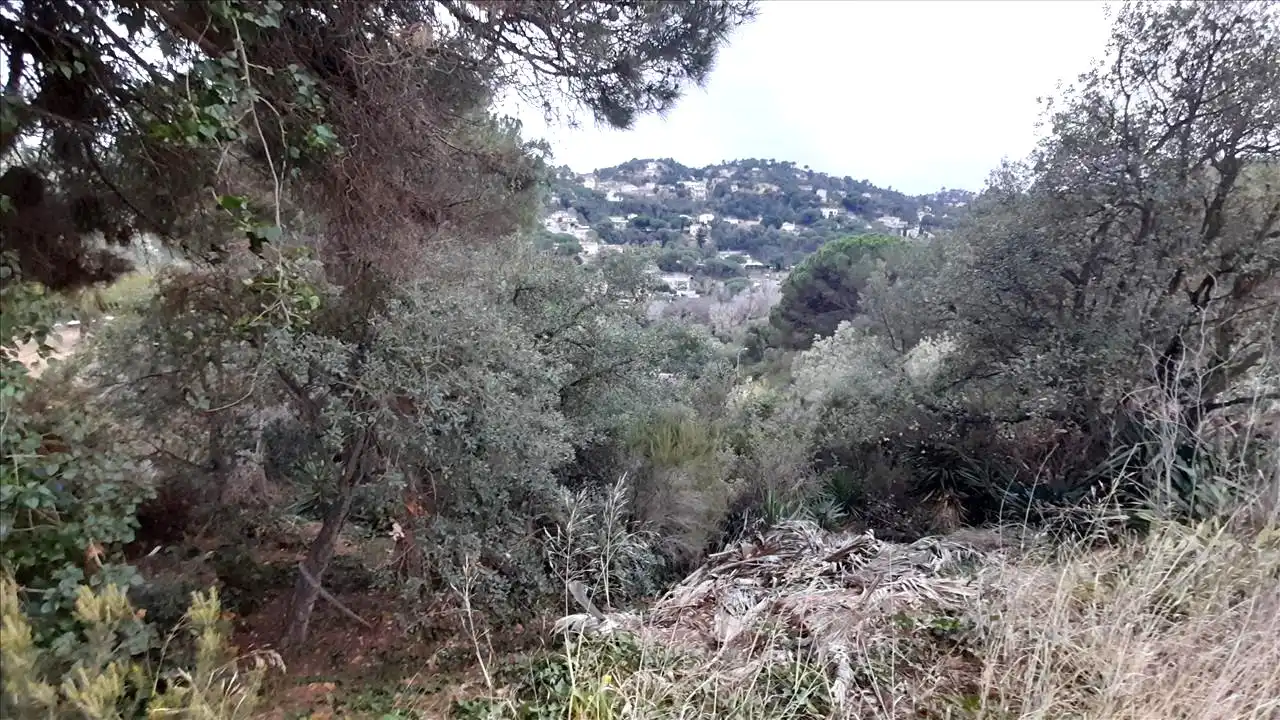 Terreny residencial en venda a Senyera, 30, imagen 4