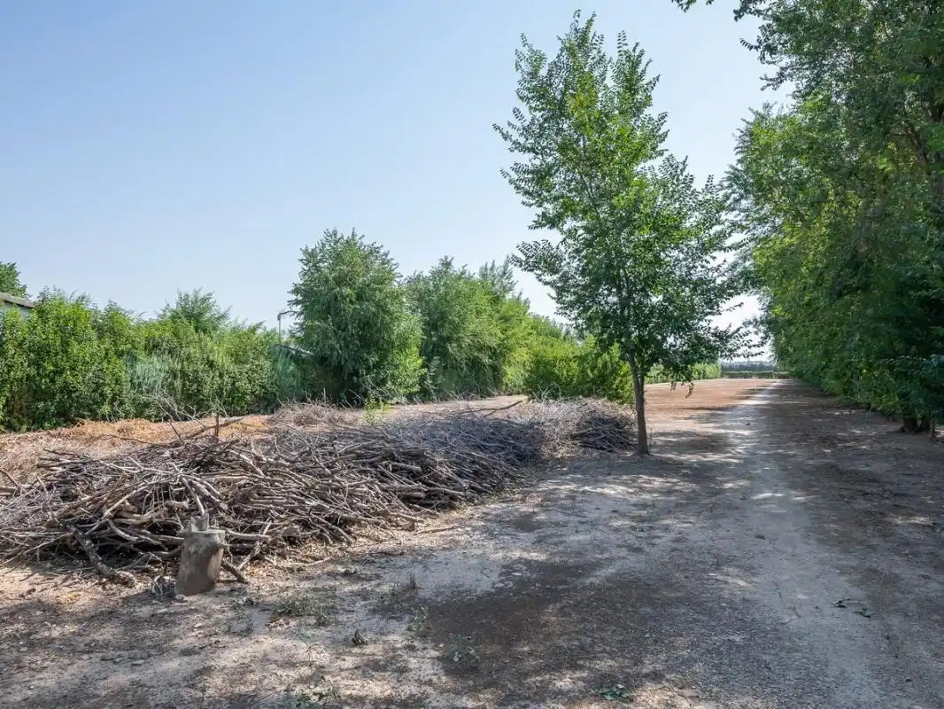 Xalet amb terrassa en venda a Cam. Viejo del Casar, imagen 24