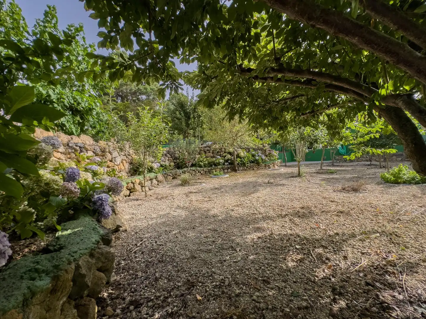 Jardí de Finca rústica en venda en Icod de los Vinos