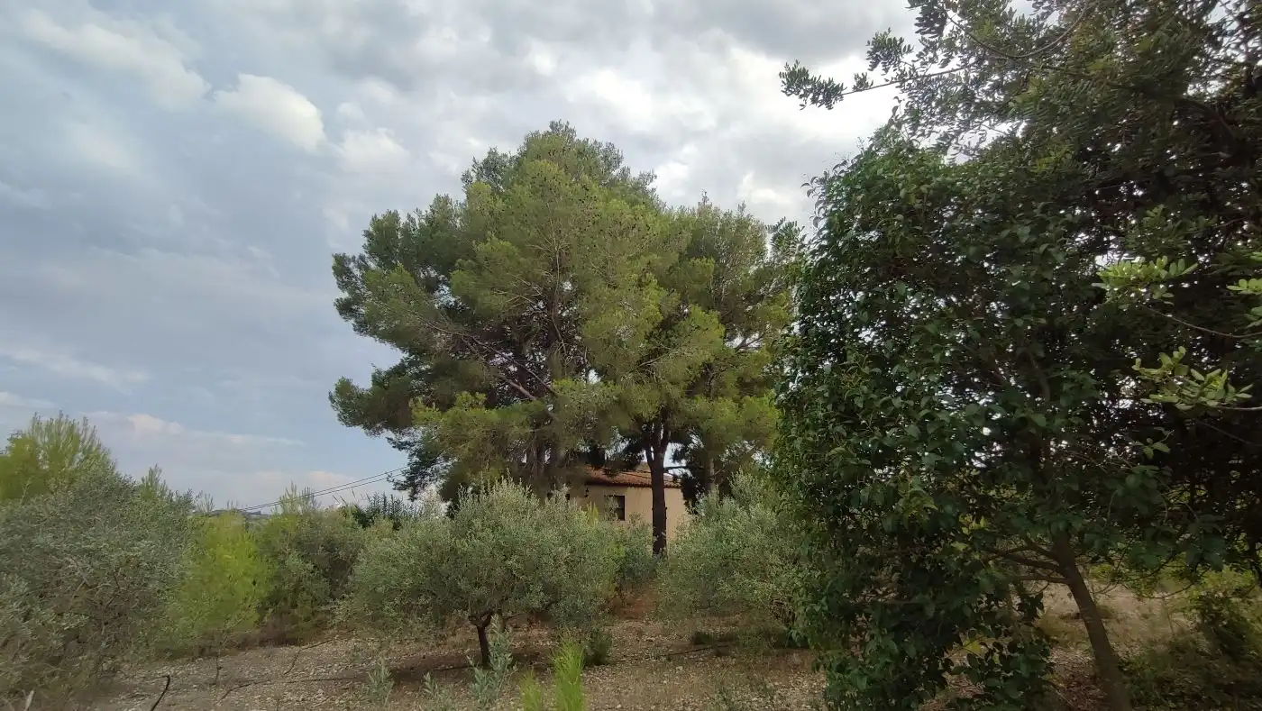 Finca rústica en venda en Valls amb Calefacció, Jardí privat i Terrassa