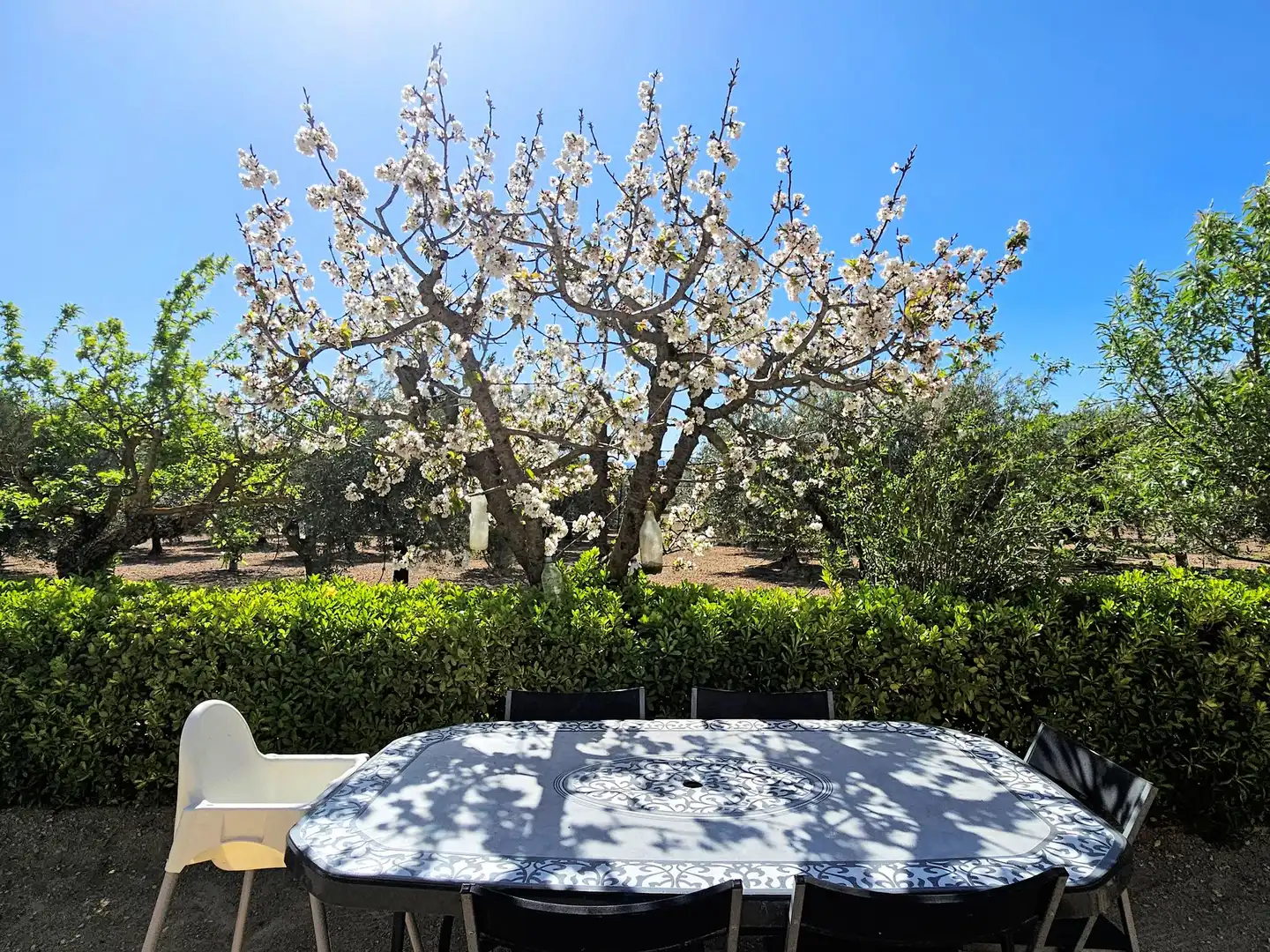 Terrassa de Casa o xalet en venda en Caudete amb Terrassa