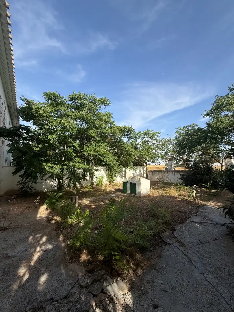 Terreno rustico in vendita a Calle Diseminado, imagen 3