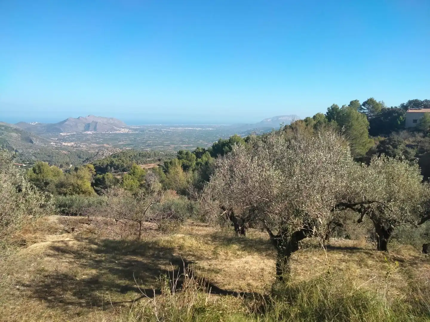 Chalet en venta en La Vall de Laguar, imagen 7