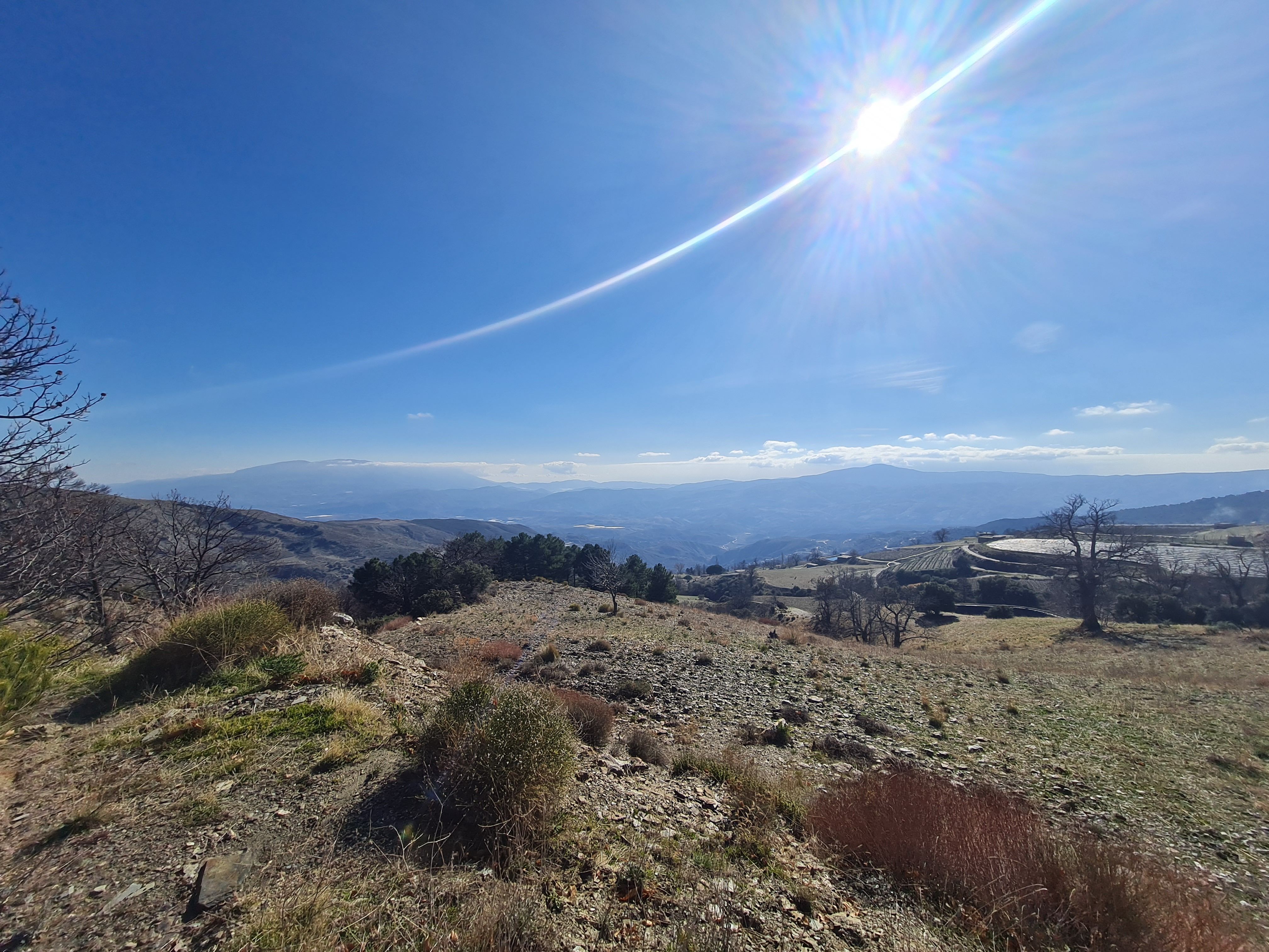 Land for sale in N/A