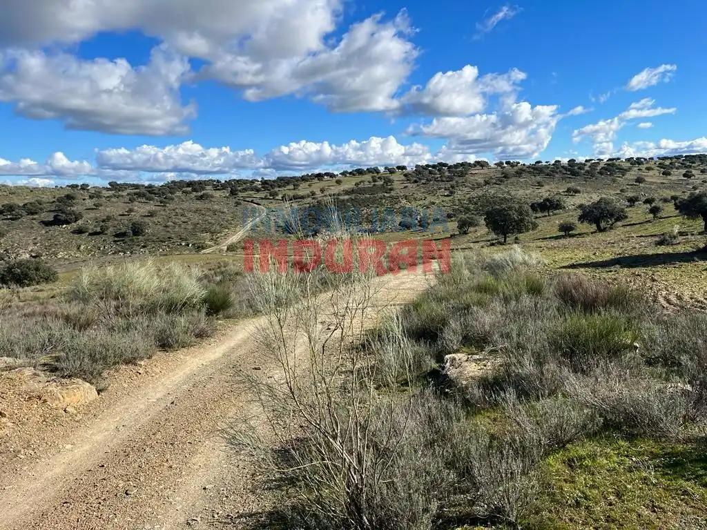 Finca rústica en venta en Carrascalejo