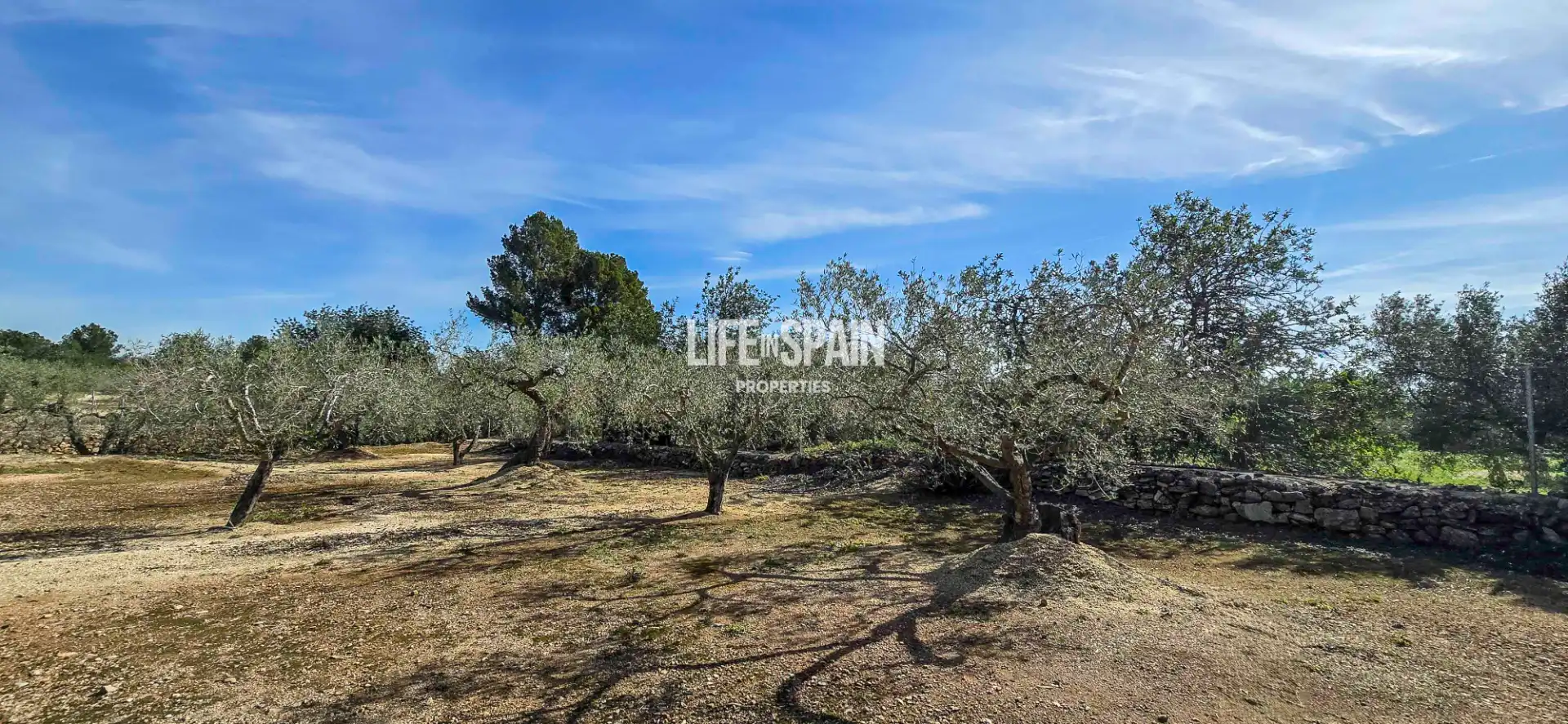 Villa à vendre à Carrer Poligono 78 43, imagen 35