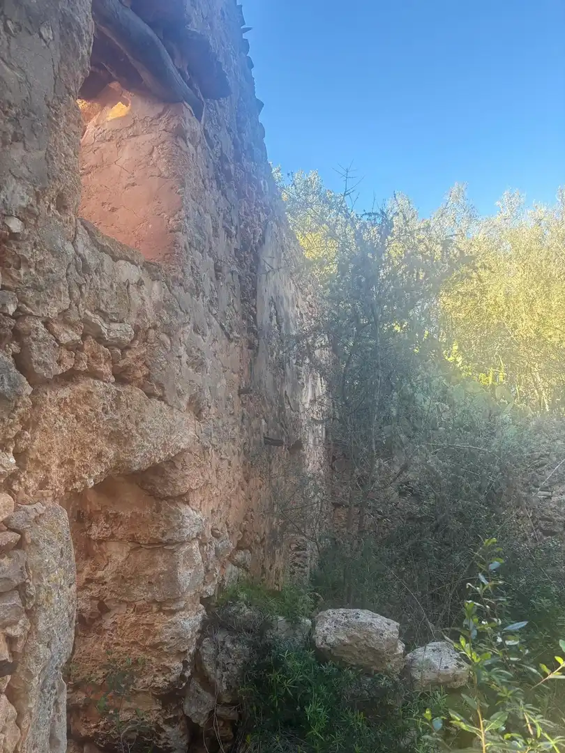 Grundstücke und Bauplätze zum Verkauf in Costitx, imagen 5