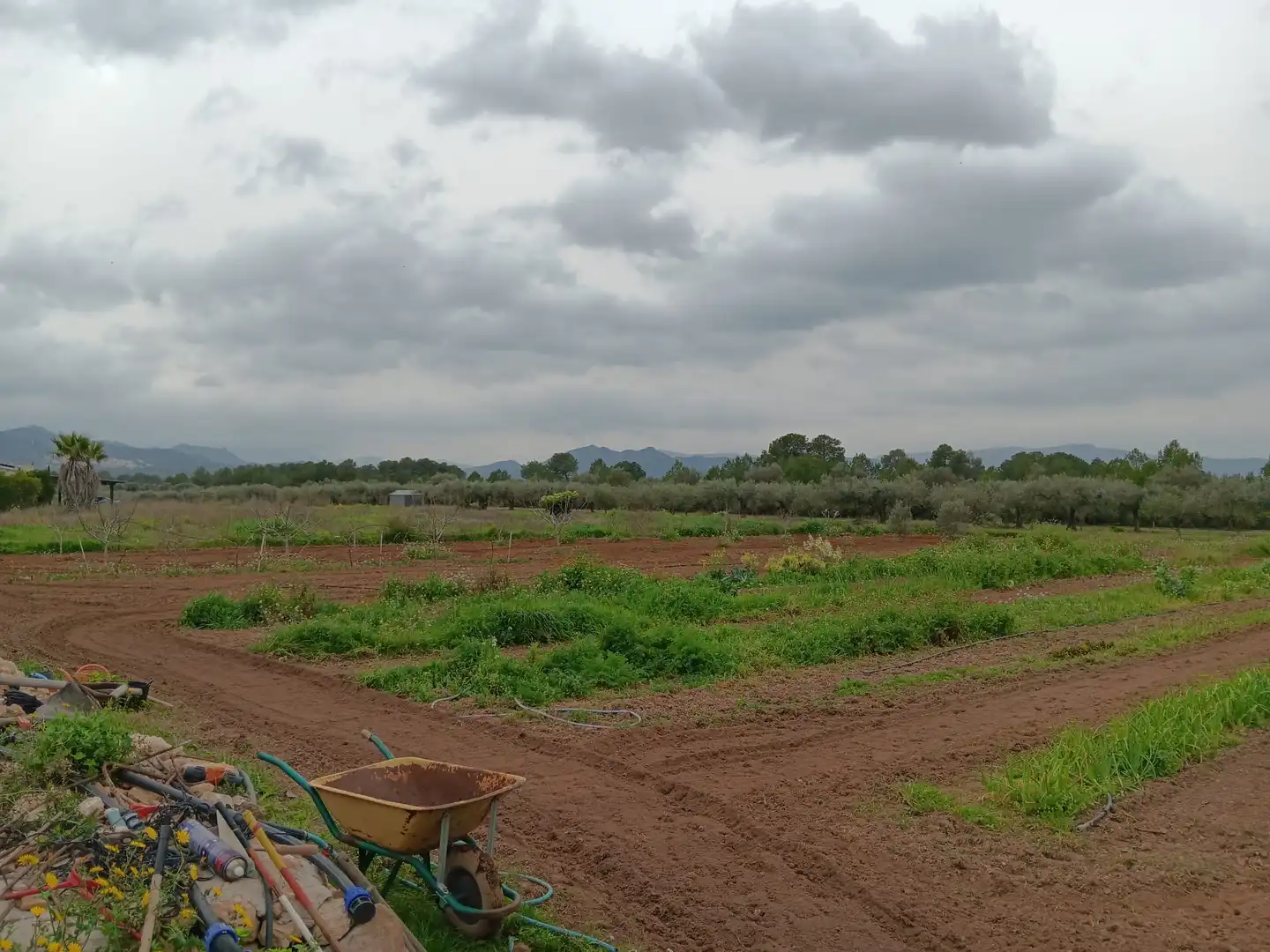 Nave industrial en venta en Ginestar