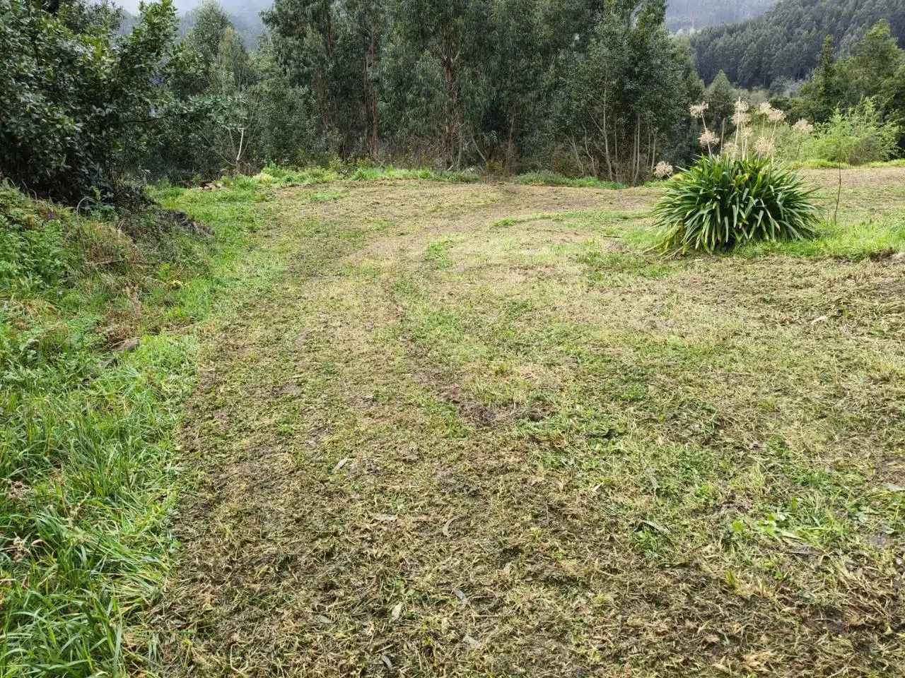 Casa en venda a Cariño, imagen 6