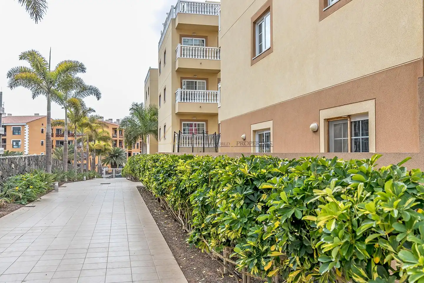 Duplex avec piscine à vendre à Jilguero, imagen 22