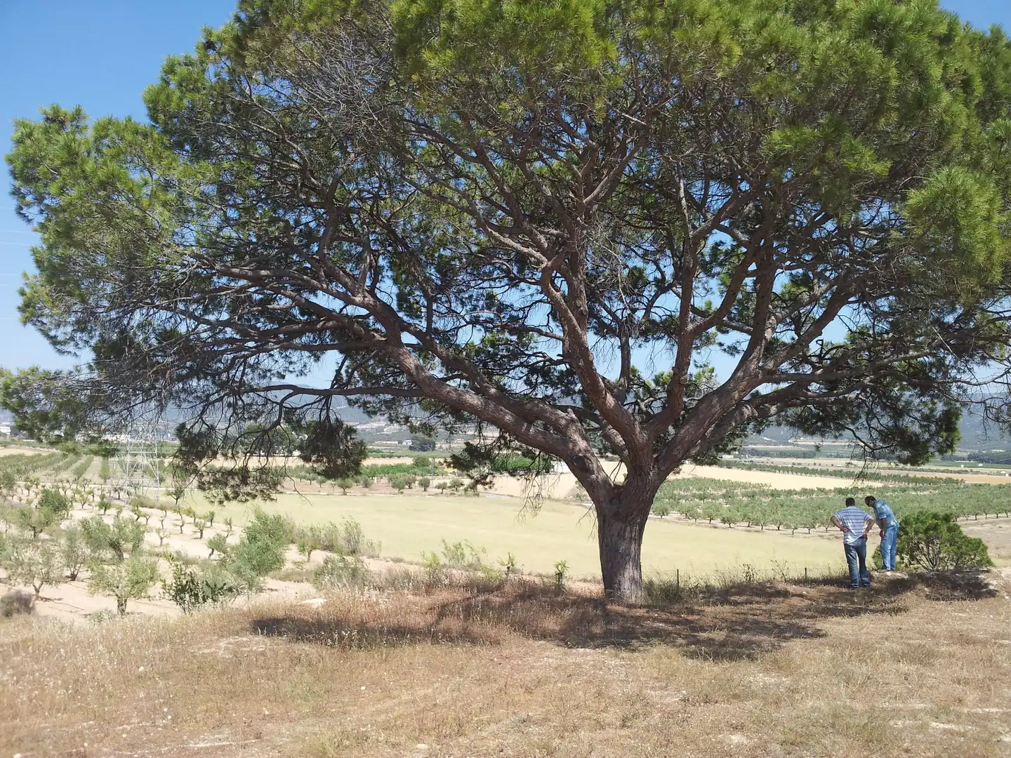 Terreny residencial en venda a Castalla, imagen 7