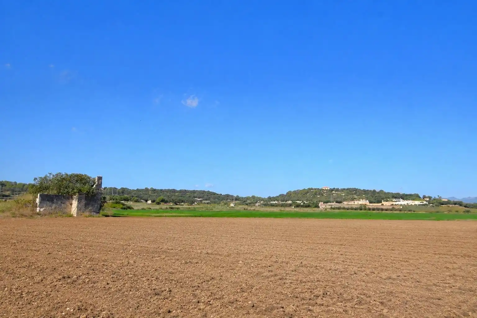 Rural land for sale in Muro, imagen 10