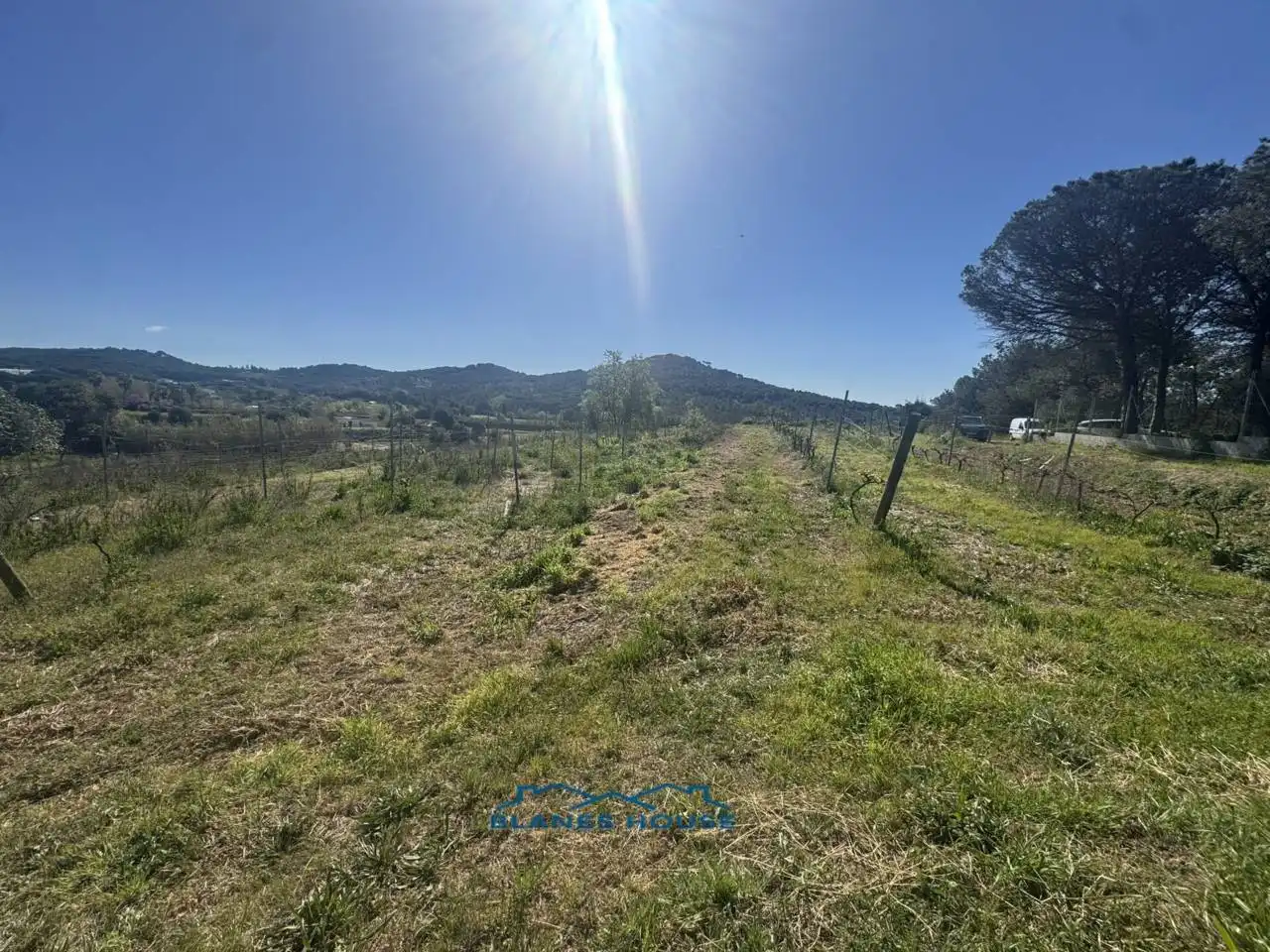 Terreno rustico in vendita a Calle Bosch Rabasa 1, imagen 18