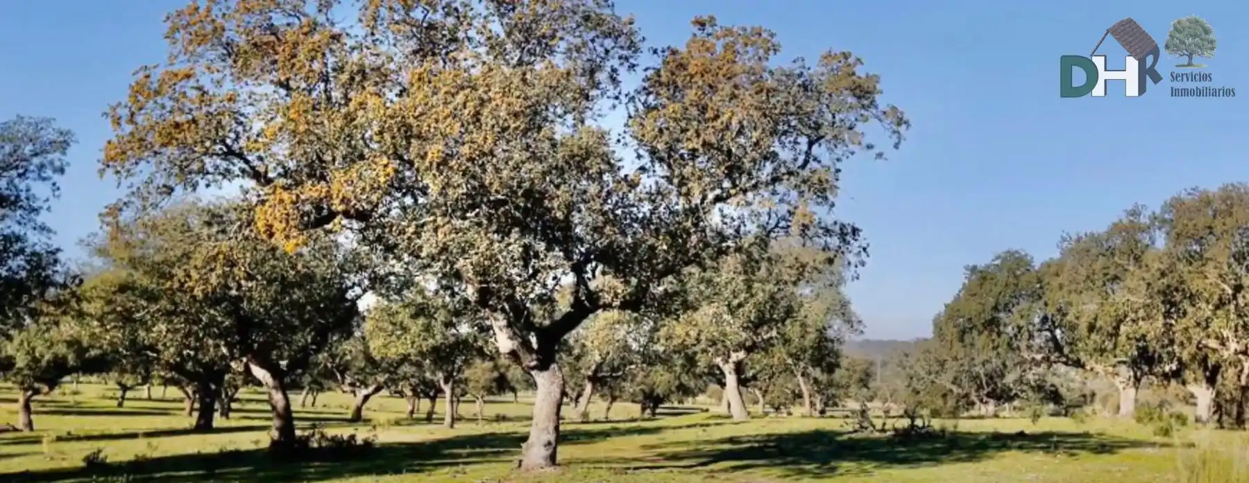 Terreni e lotti in vendita a Casco Antiguo