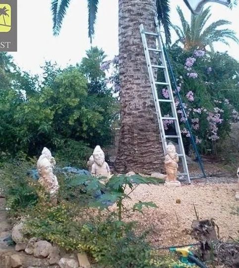 Foto 2 de Casa o xalet en venda a Coloma, La Nucia