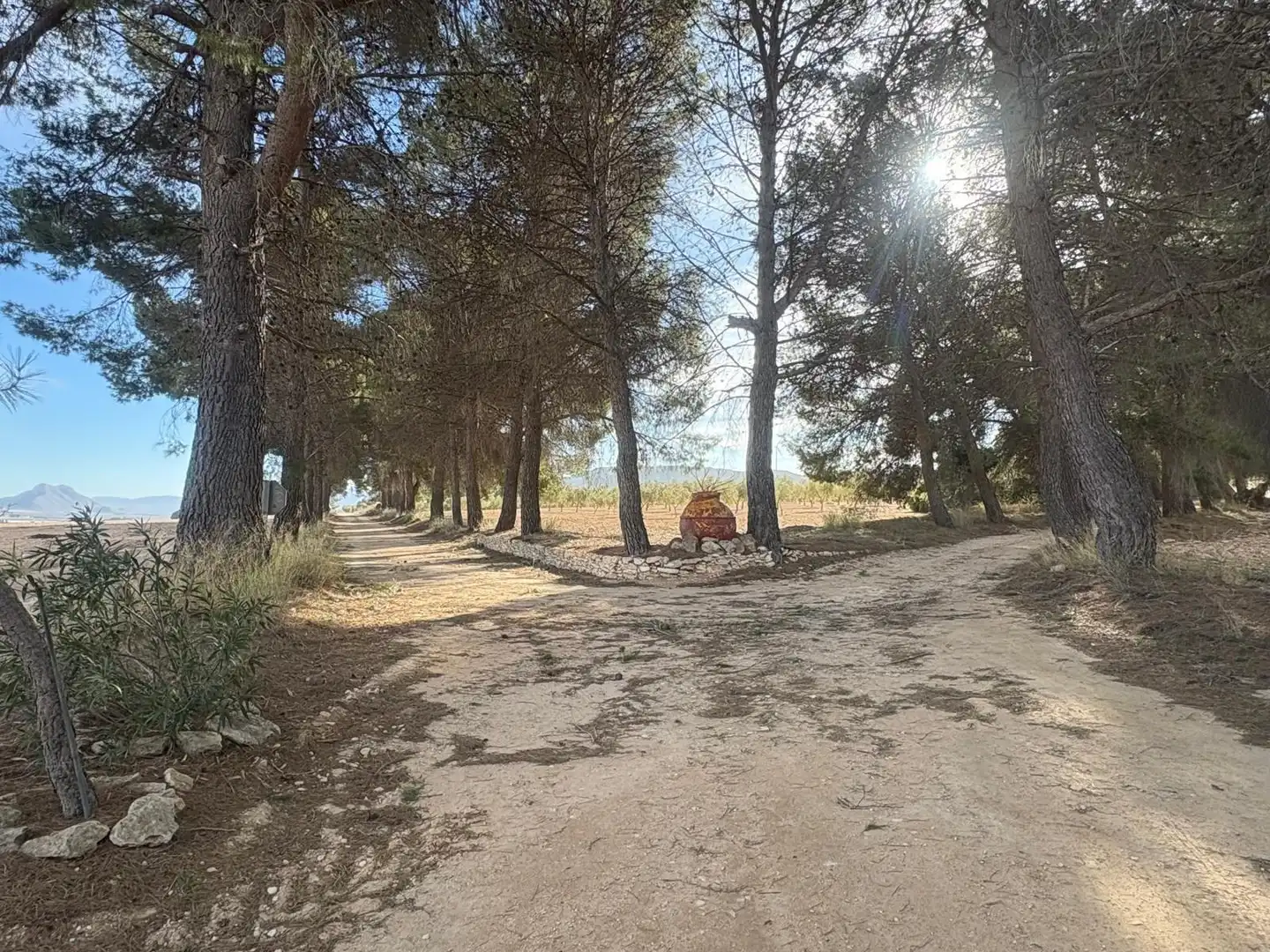 Finca rústica en venta en Ontur