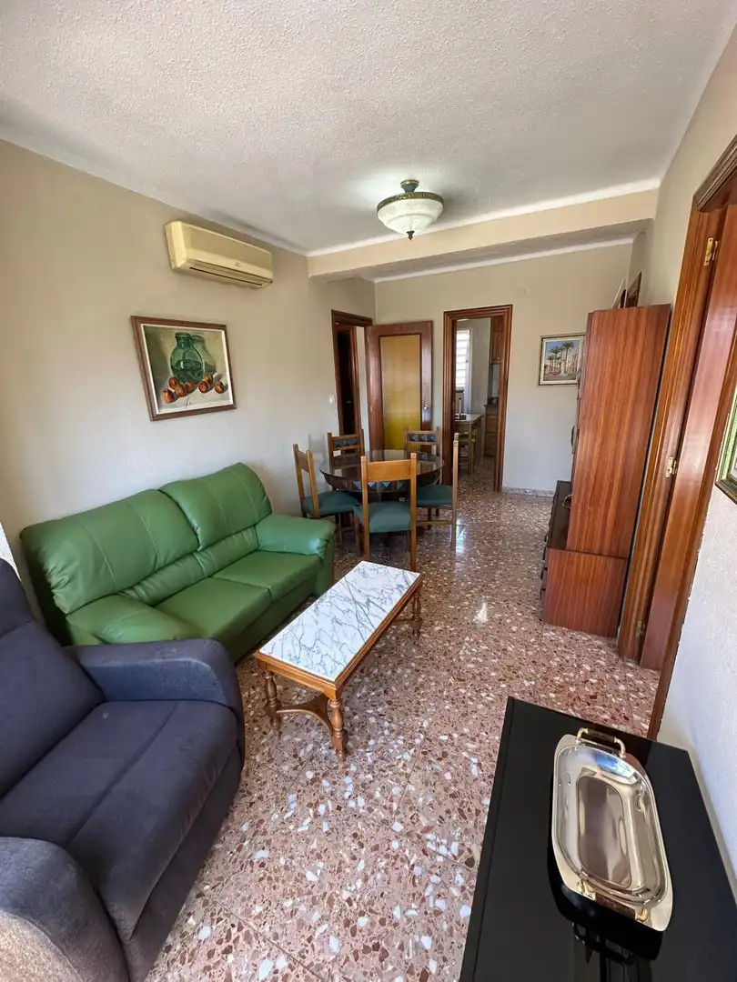 Sala d'estar de Pis en venda en Alicante / Alacant amb Moblat