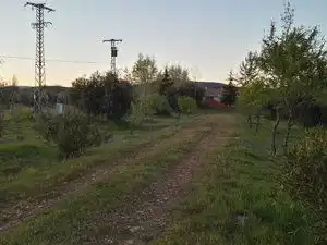 Terreno en venta en Piedrabuena