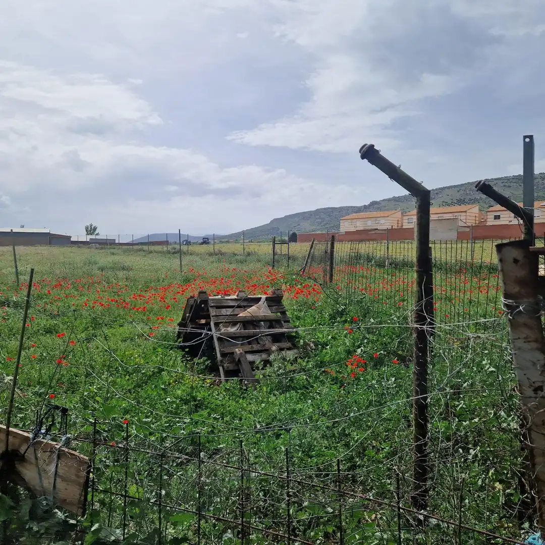 Rustikales Grundstück zum Verkauf in Los Yébenes, imagen 4