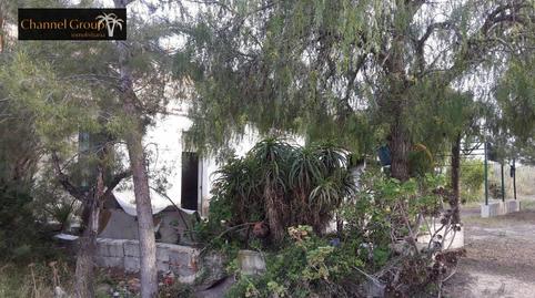 Foto 3 de Finca rústica en venda a Peña de las Águilas, Alicante